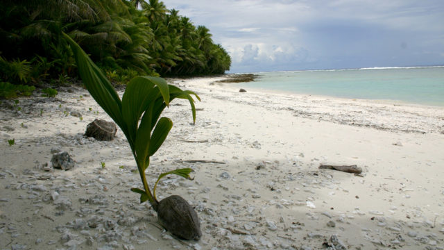 national park of american samoa swains island