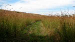 tallgrass prairie national preserve