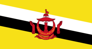 brunei flag