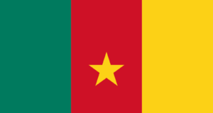 cameroon flag