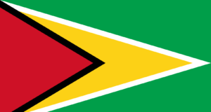 guyana flag