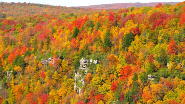blackwater canyon potomac highlands west virginia