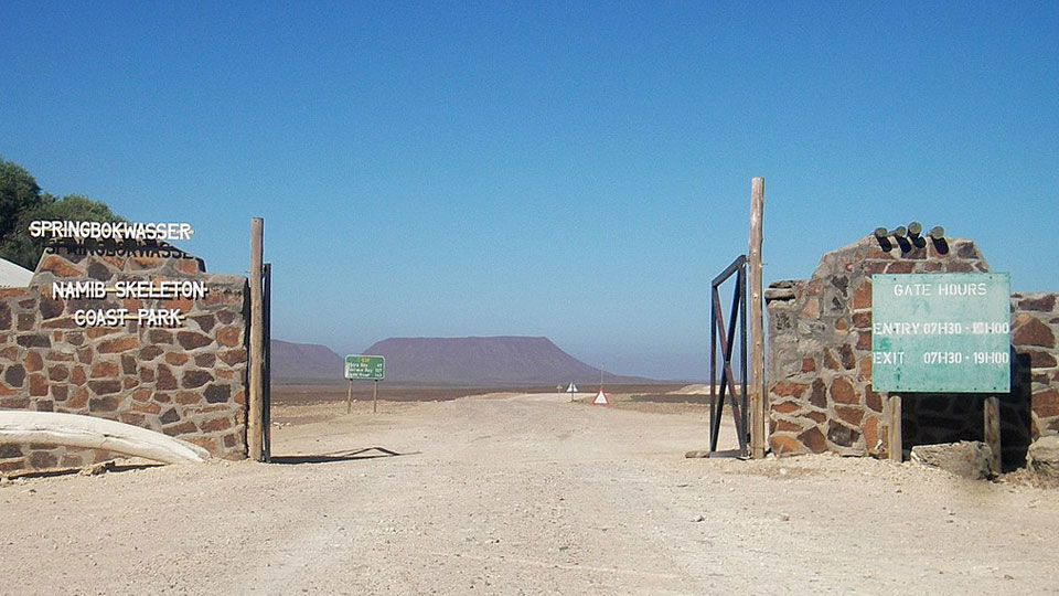 namibia skeleton coast national park springbok gate