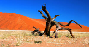 namibia image gallery