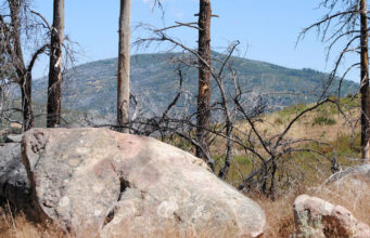 cuyamaca rancho state park