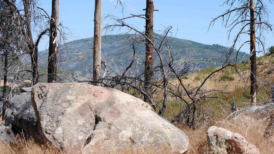 cuyamaca rancho state park